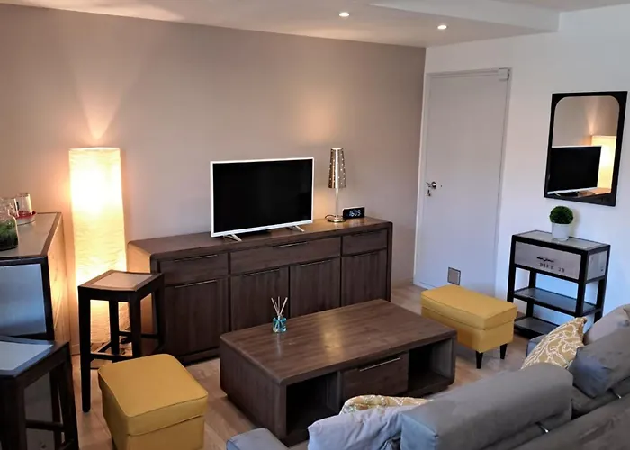 A Cosy And Comfortable Nest Apartament Tuluza